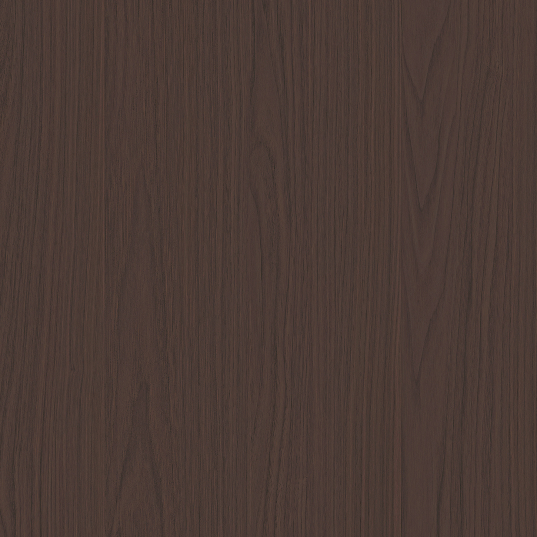 安第斯胡桃 安第斯胡桃